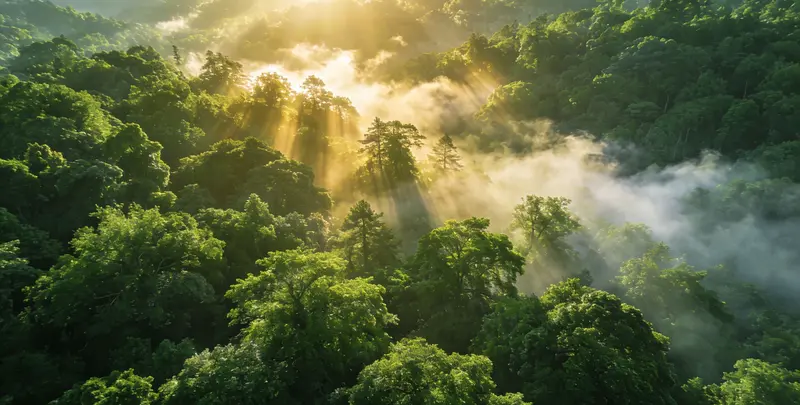 广州肺癌8基因突变检测（组织）图片1